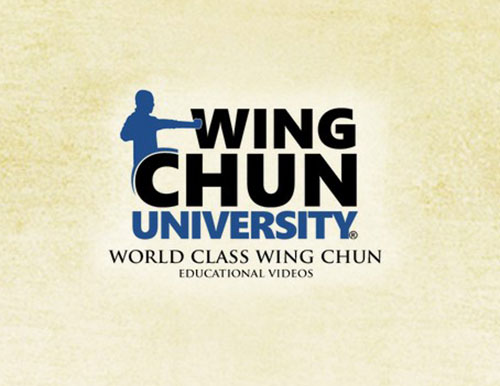 Wing Chun Courses on Platform Purple